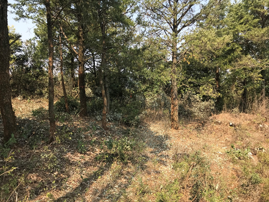 自然共生,心灵栖息的汉华天马山温泉酒店-92