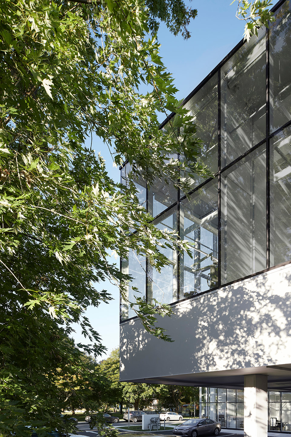 圣查尔斯牙科诊所丨加拿大丨Studio Jean Verville architects-9