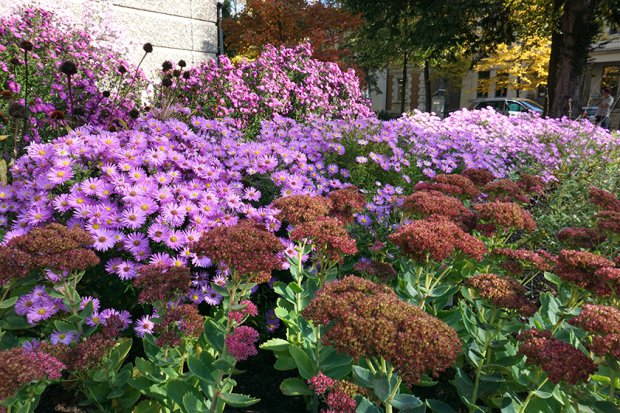 不伦瑞克市立博物馆丨Büro Christian Meyer-2