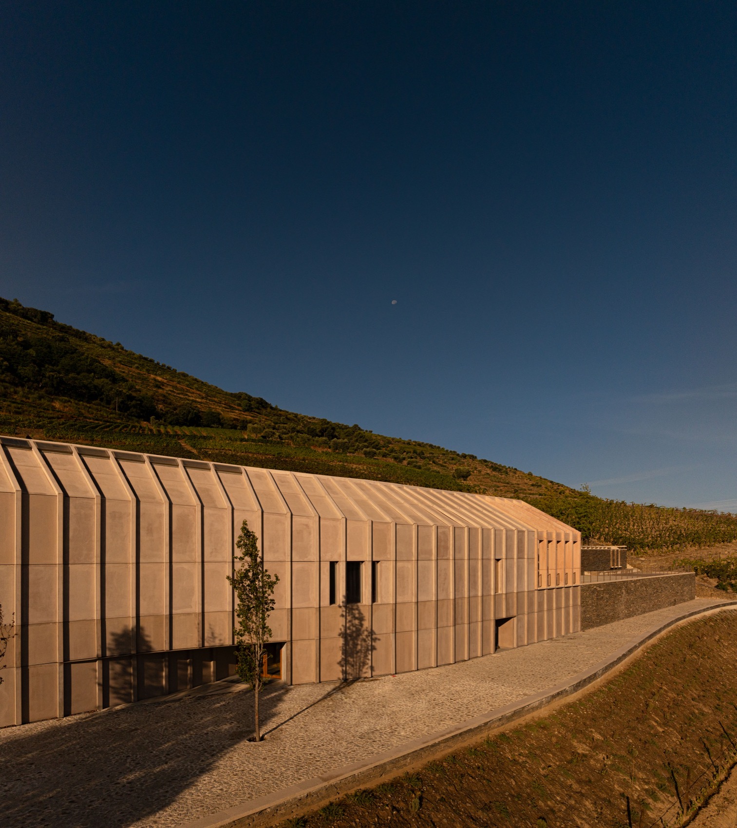 Quinta de Adorigo酒庄丨葡萄牙杜罗丨Atelier Sergio Rebelo等多家团队及个人-44