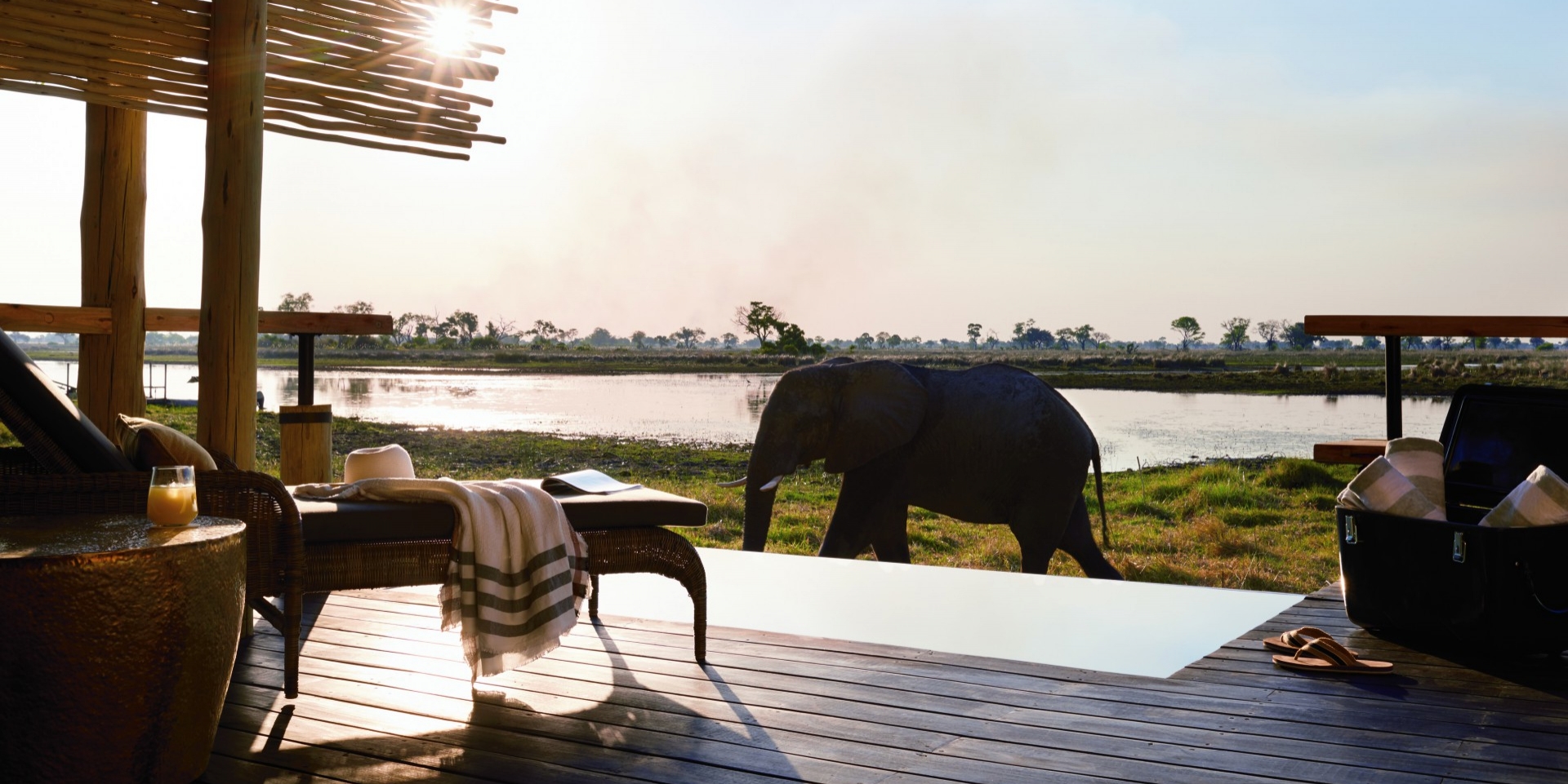 Eagle Island Botswana-0