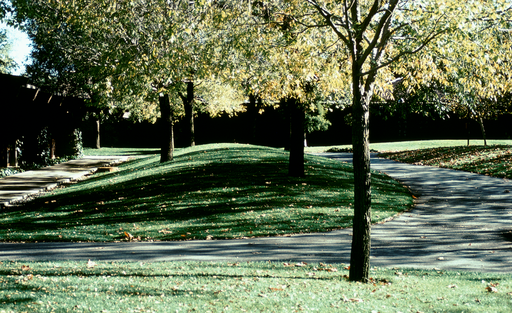 Foothill College校园景观设计丨美国加利福尼亚-20