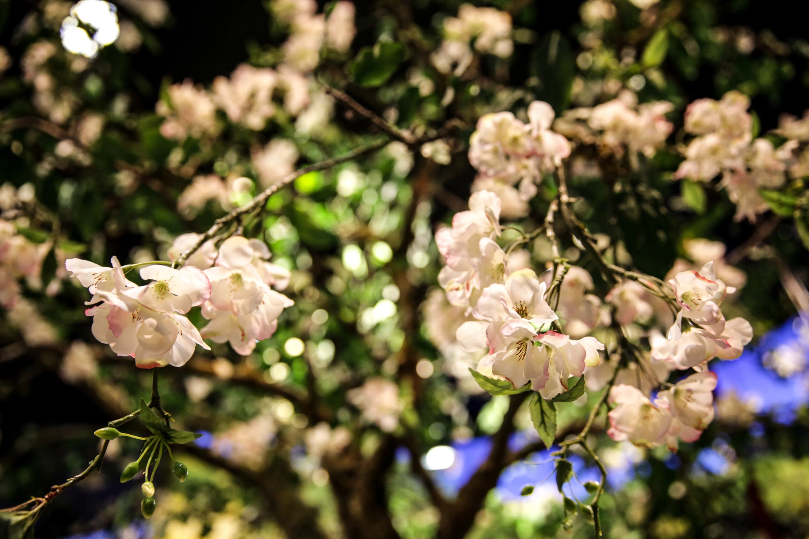 哈萨克斯坦 2015 世博会展馆 | 呈现传统与现代的和谐共生-26