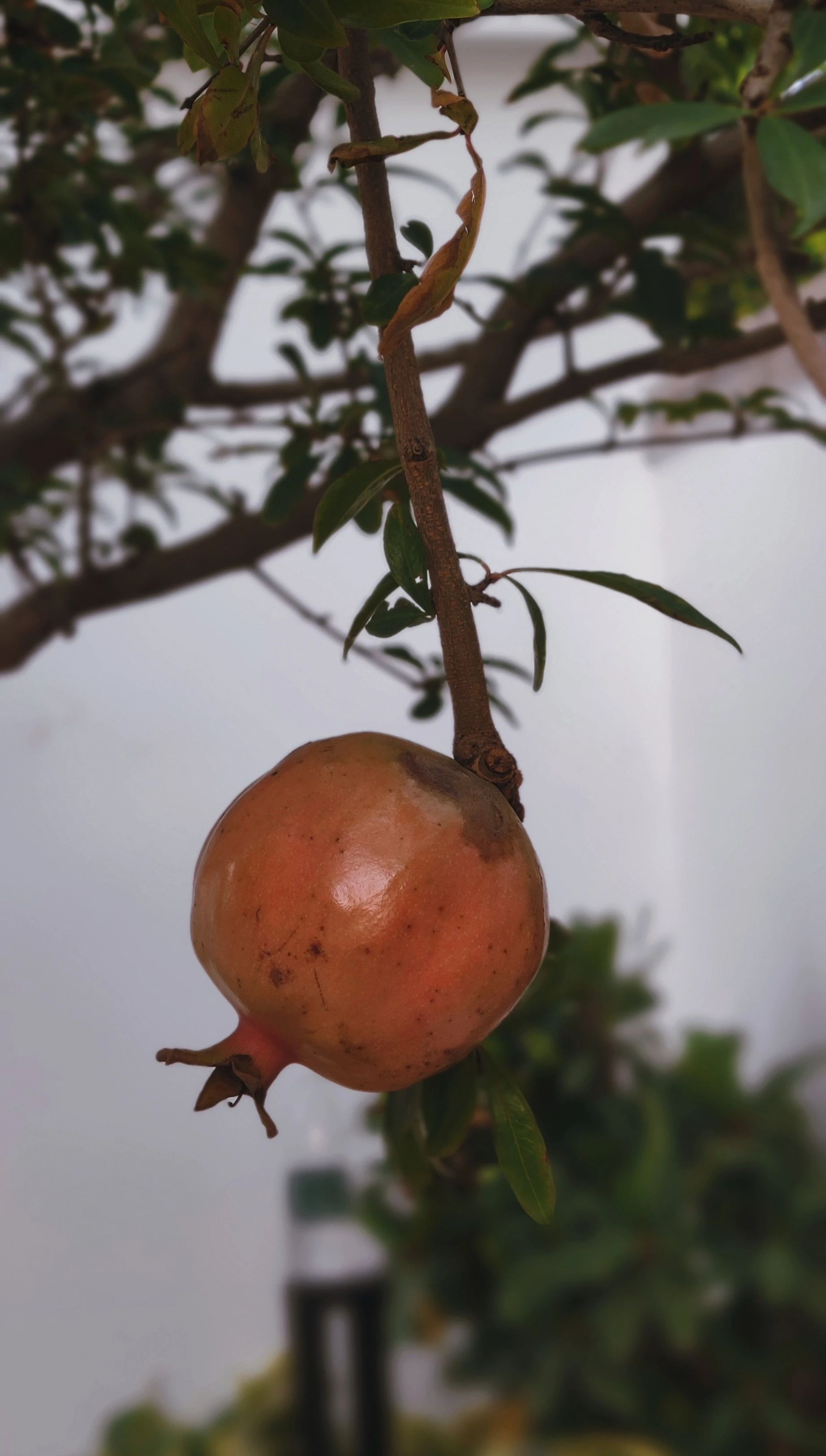 玖龍湖别墅丨广州在于空间设计工程有限公司-45