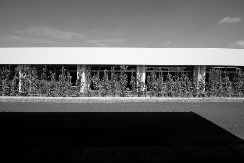 豊望園 #117丨日本宫崎丨COGITE+iwano设计共同体-10