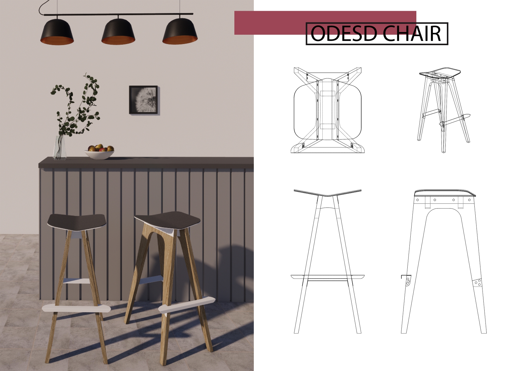 Rhinoceros portfolio-1