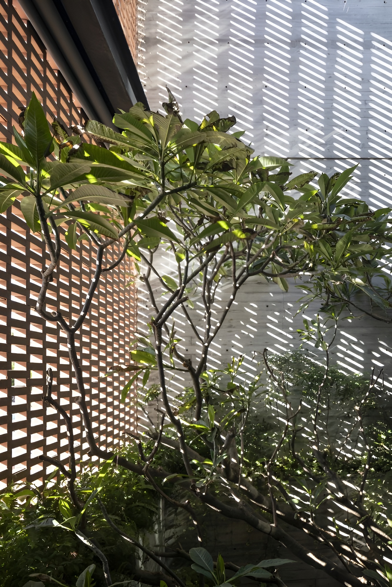 赤土联排别墅丨以色列丨Pitsou Kedem Architects-26