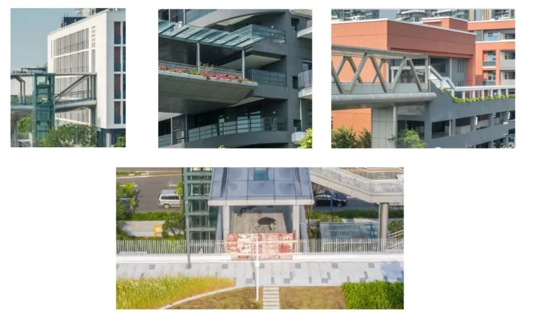 南山三桥 | 现代景观设计的人行天桥新篇章-97