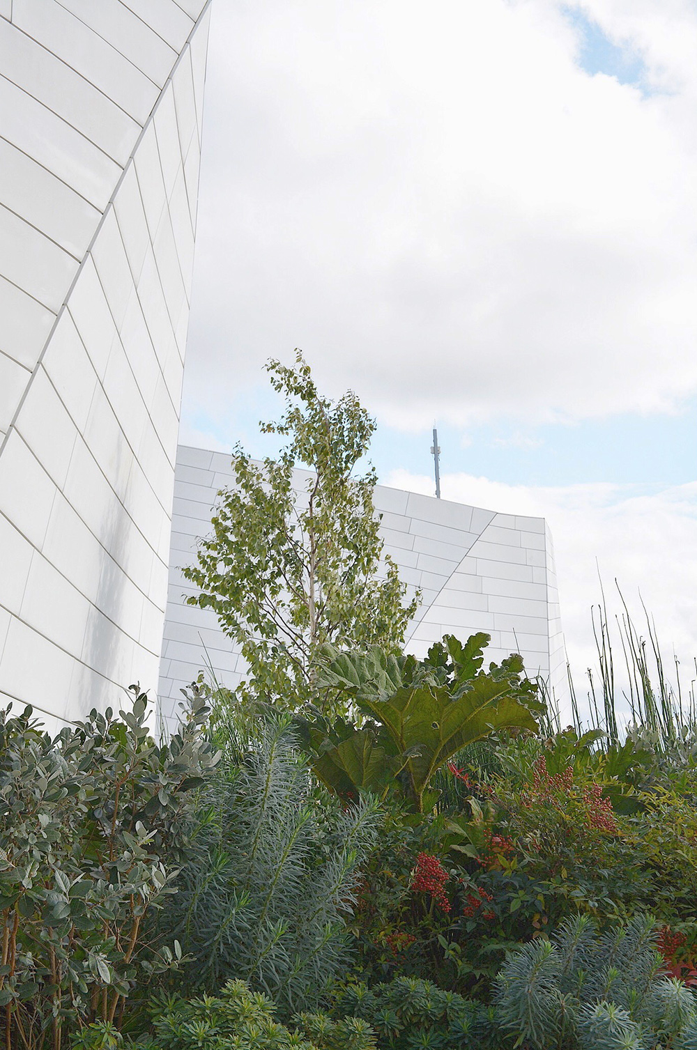 路易威登基金会丨法国巴黎丨弗兰克·盖里（Frank Gehry）-55