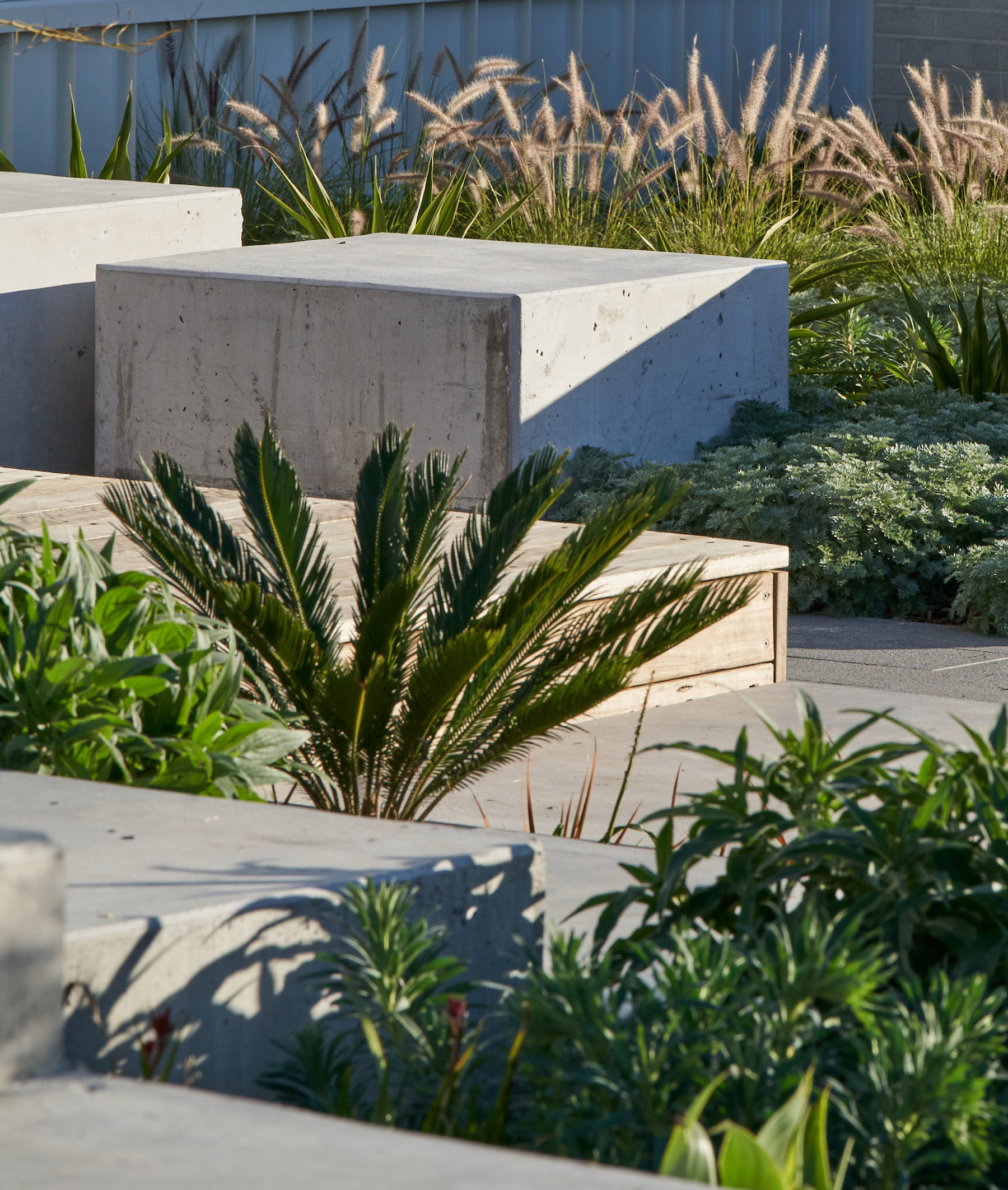 创意景观学习空间 · “巨人之路”融入圣弗朗西斯泽维尔学院-13