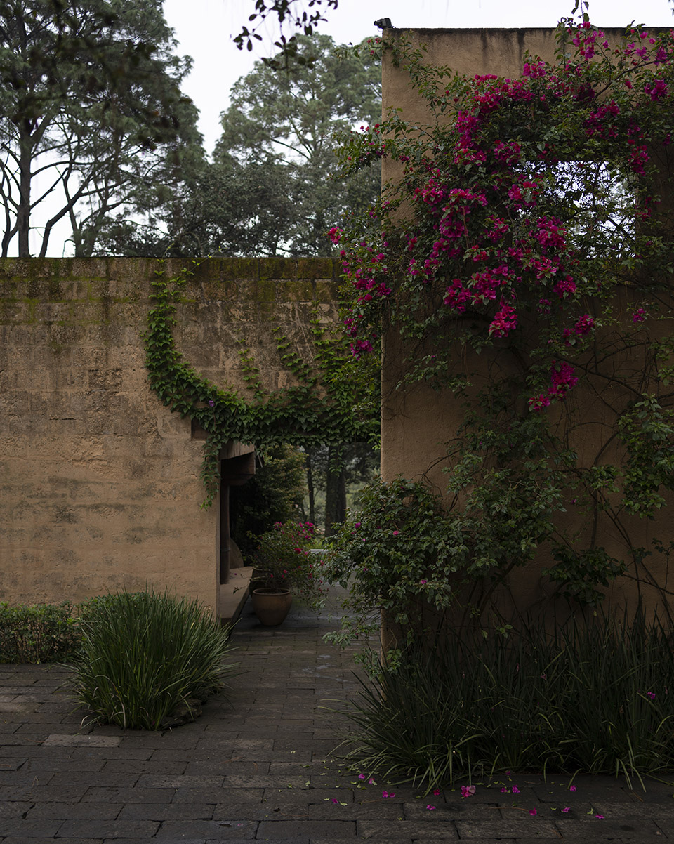 林中之屋丨墨西哥丨direccion-3