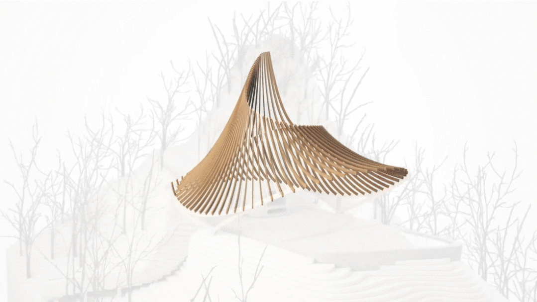 虾夷丨日本丨LEAD-21