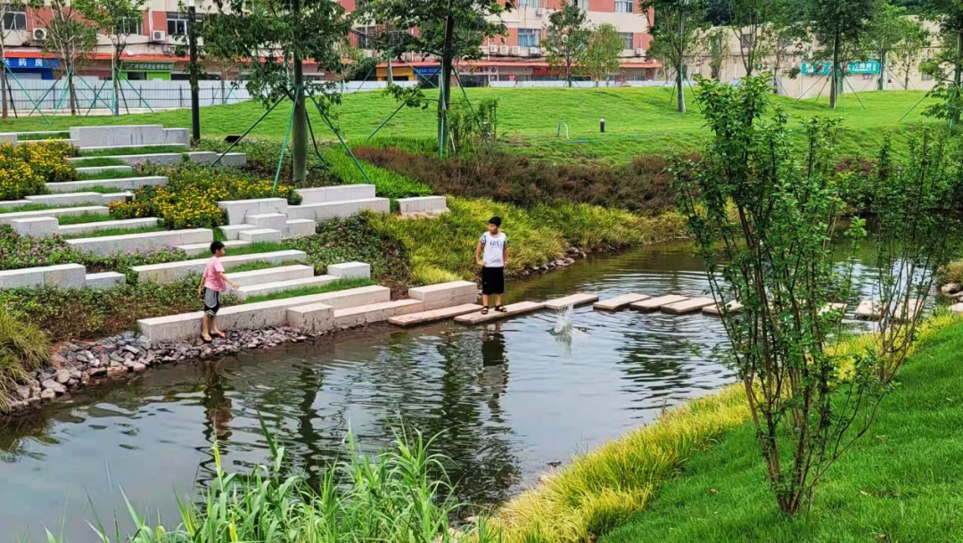 重生之河 | 广州大坦沙岛“蓝色命脉”的生态复兴-48