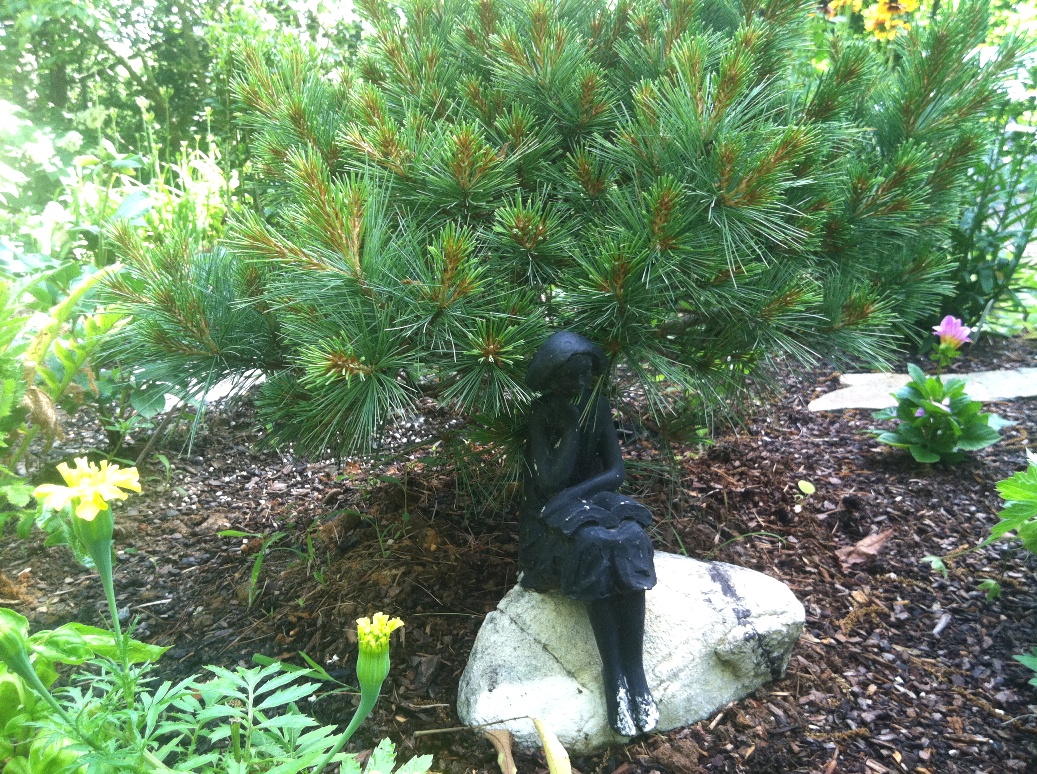 阳光花园打造项目丨Muddy Boots Inc-13