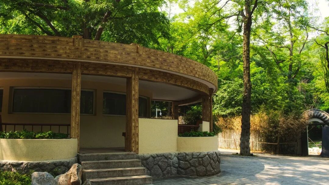 百姓乐园：榉林山焕新归来，悦享自然人文之美-19