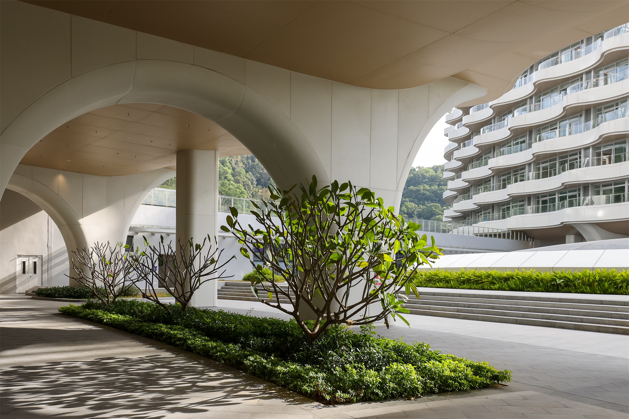 深圳市第二人民医院大鹏医院丨中国深圳丨景观设计为深圳市希尔景观设计有限公司等多家-88