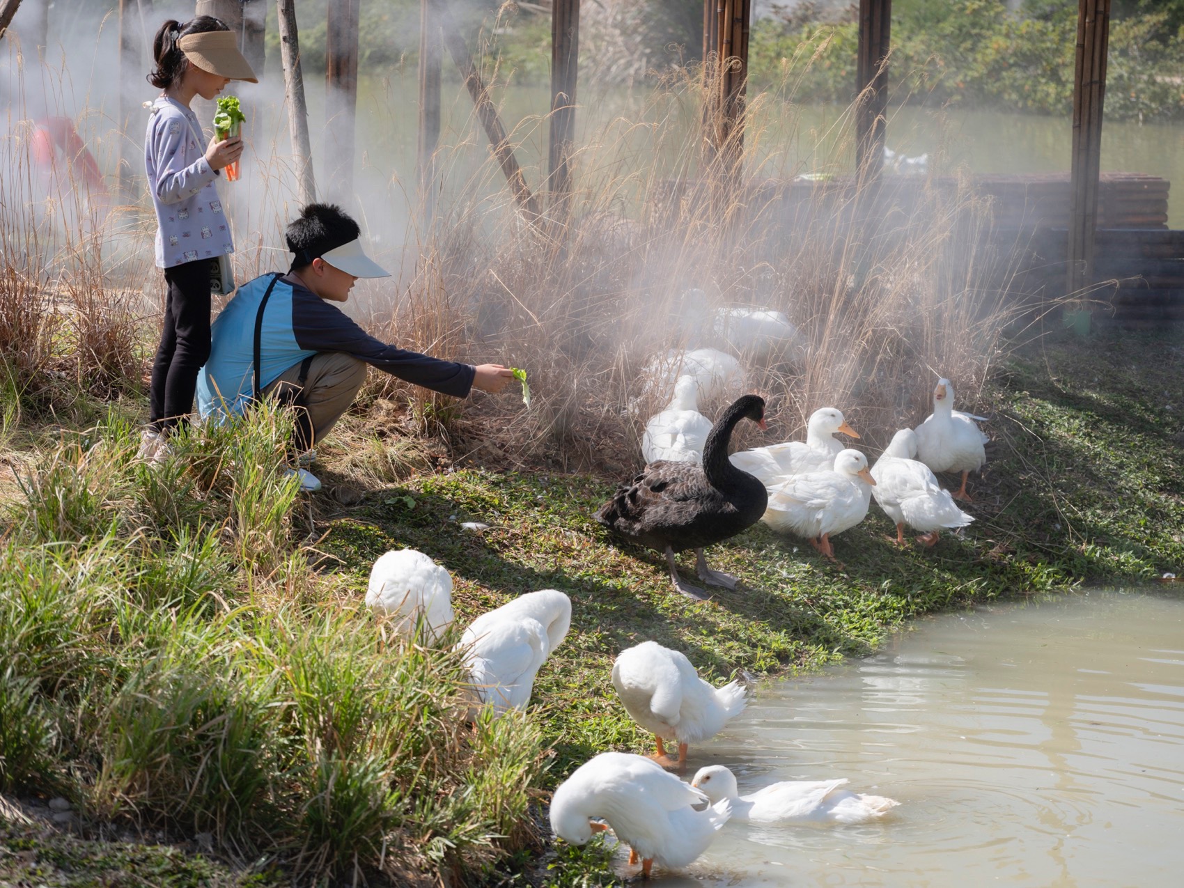 麓湾水集丨中国万宁丨昱道景观-52