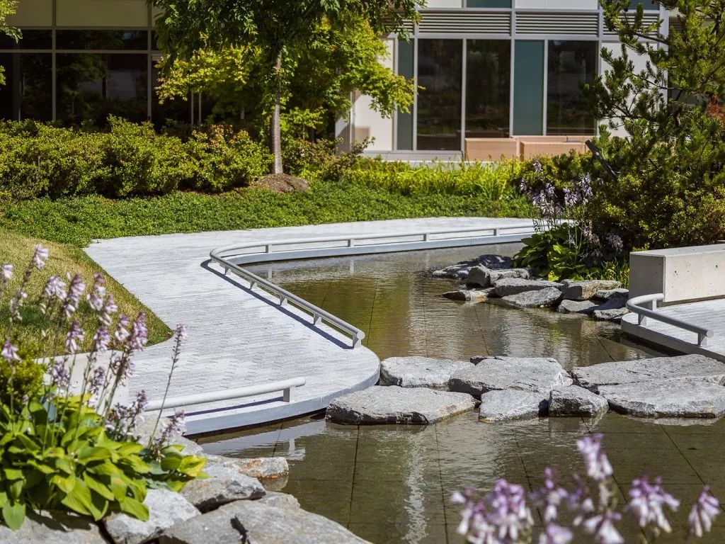 温哥华 Ketcheson Neighbourhood 公园丨哥伦比亚-7