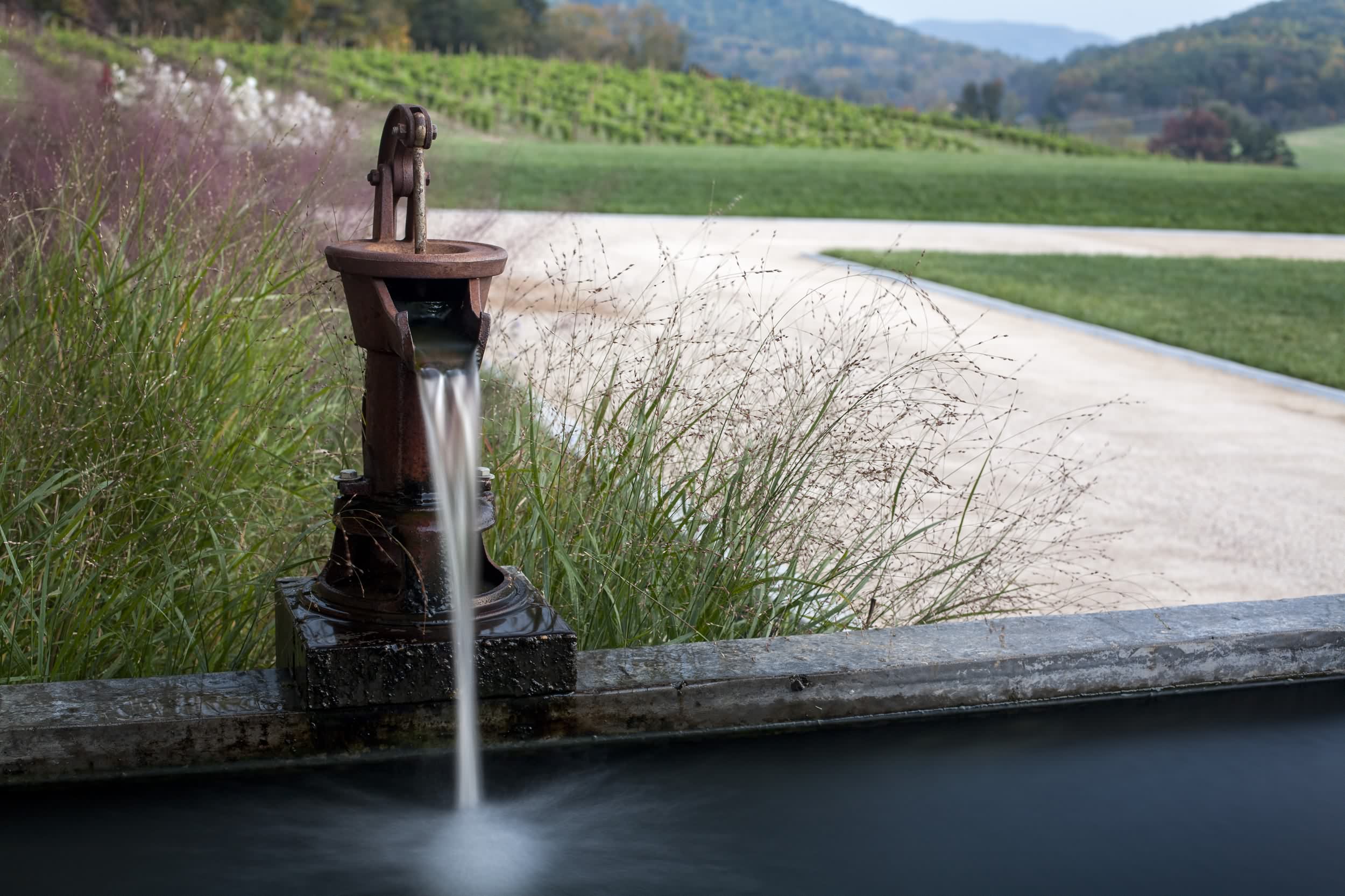 pippin山酒厂庭院景观 by siteworks studio-12