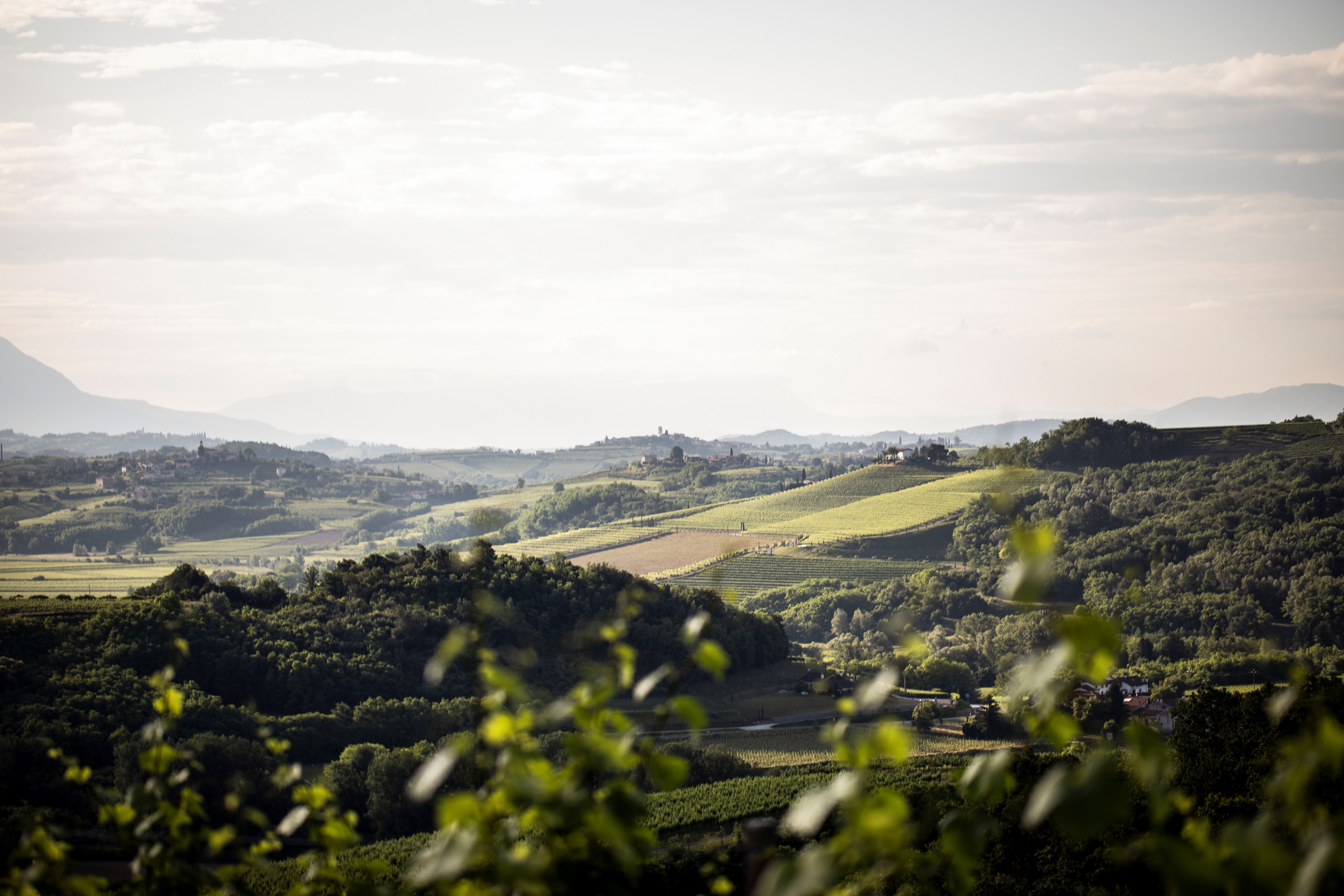 意大利 LaViarte 酒庄现代室内设计，融入自然风光与传统元素-21