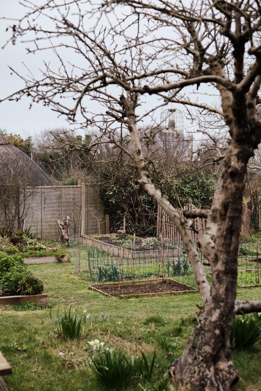 Creating a cottage garden - Lobster and Swan-3