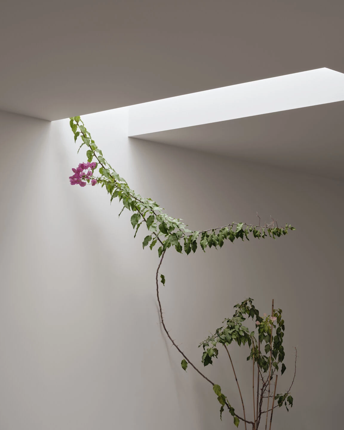 三倍·法布尔丨加拿大蒙特利尔丨Atelier L'Abri-30