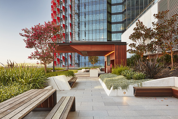 悉尼国际塔楼丨澳大利亚悉尼丨ASPECT | OCULUS-3