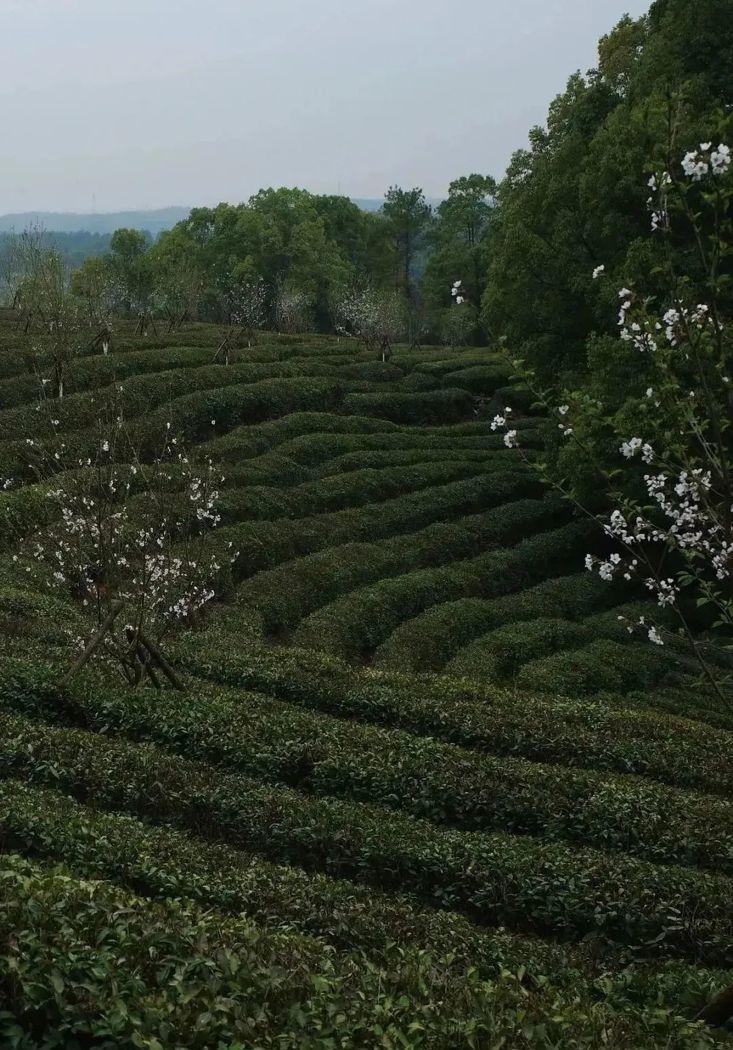 一山一寺民宿丨中国宜昌丨UNFOLDESIGN聿几空间-85