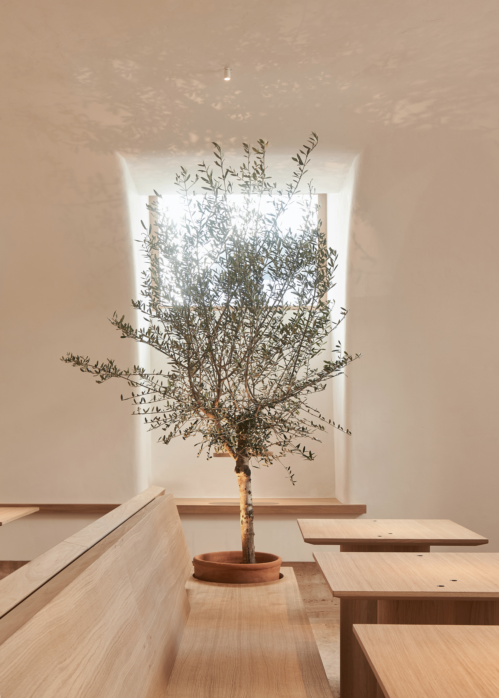 Osteria Betulla 餐厅丨俄罗斯圣彼得堡丨DA bureau-16