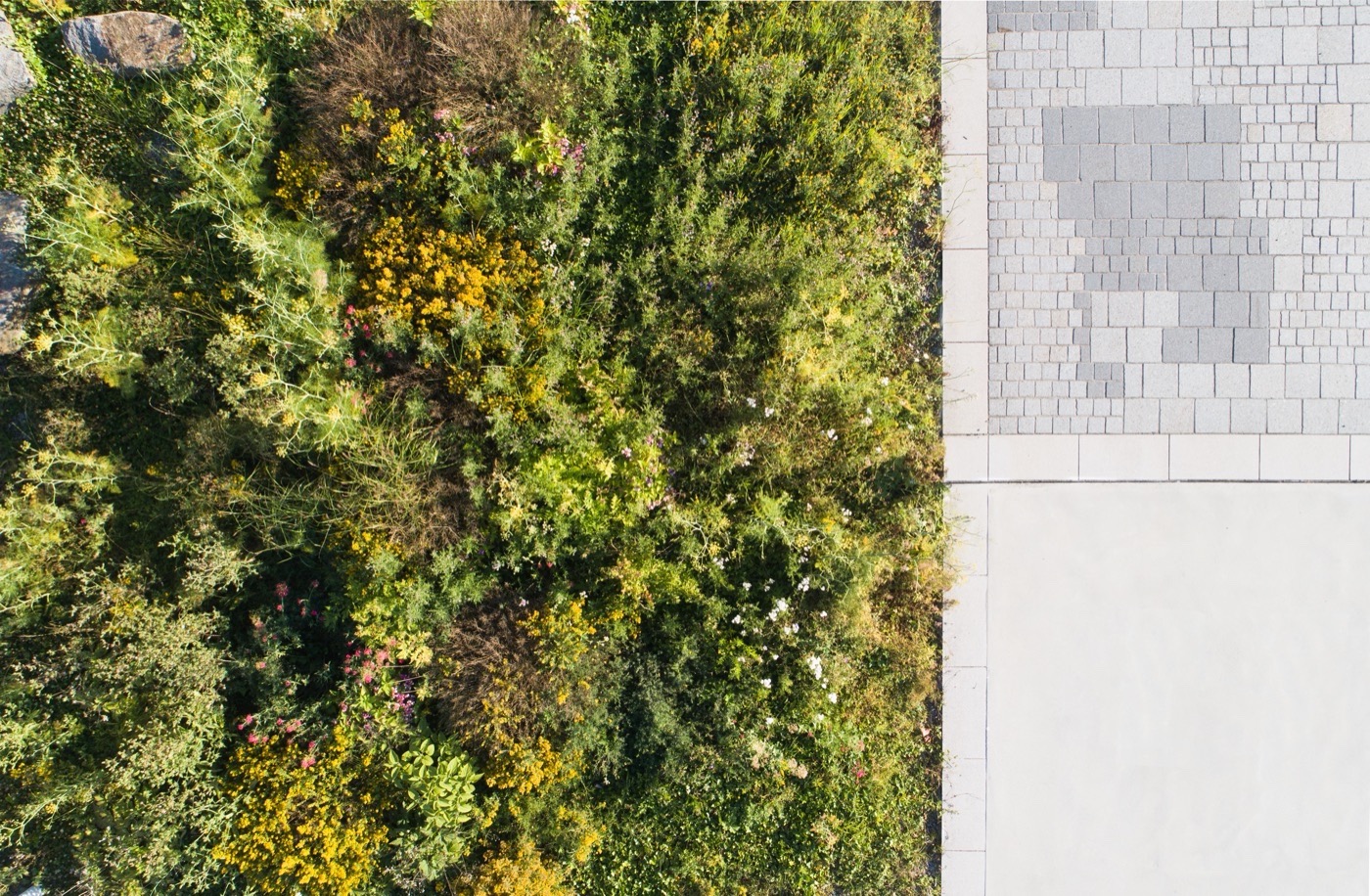 圣布里厄展览公园空地重生丨法国丨praxyspaysage.fr-32