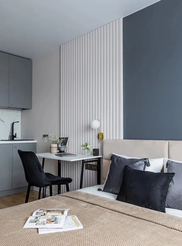 20㎡一字型公寓设计丨Ekaterina Shein-14