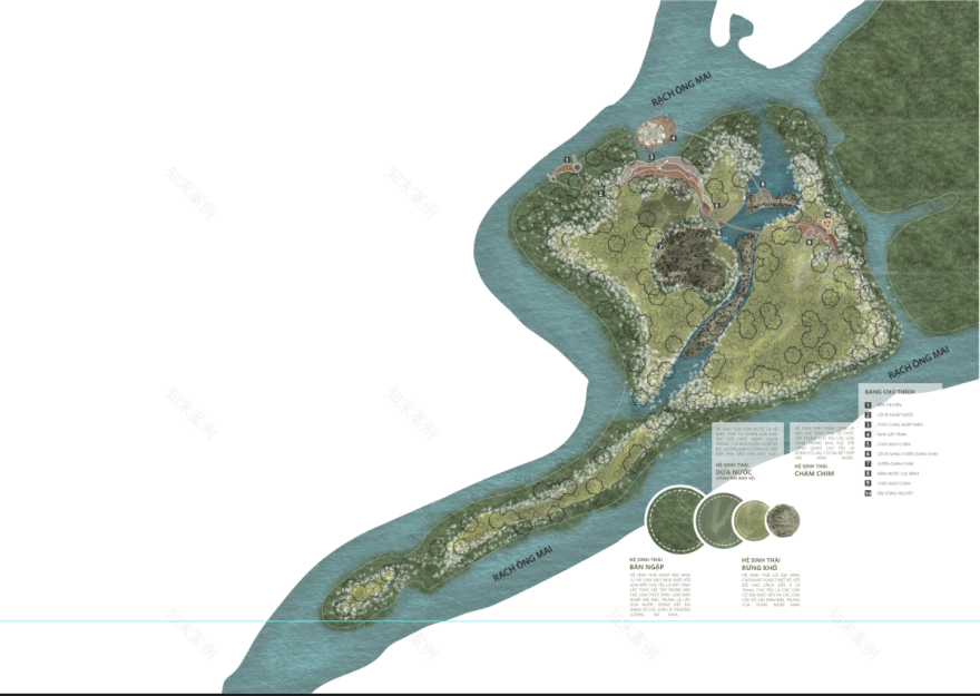 湿地公园丨越南-3