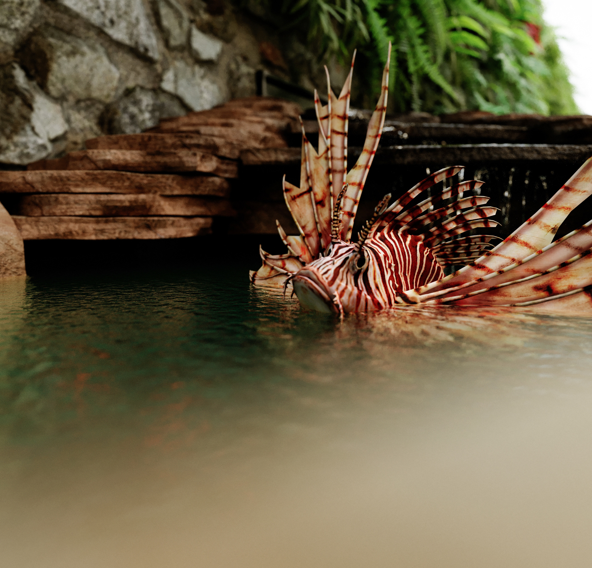 日式别墅景观丨沙特阿拉伯-3