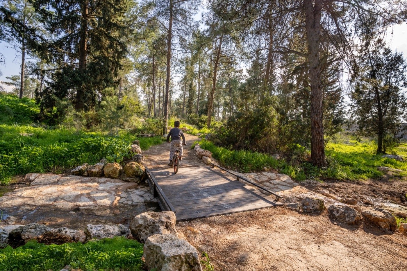 以色列哈里什森林公园-8