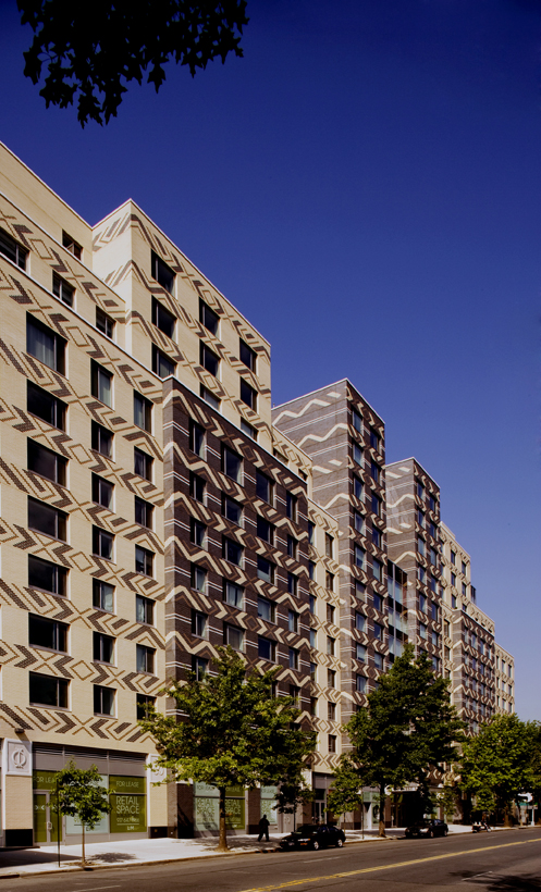 喀拉哈里（沙漠）丨美国纽约丨GF55 Architects-14