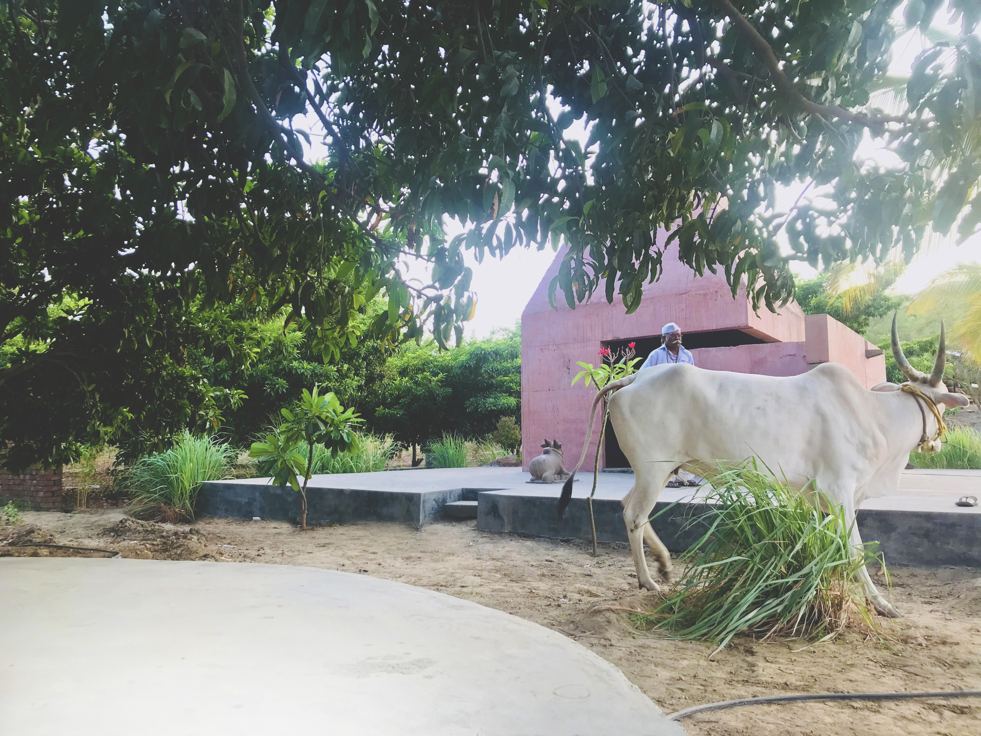 特乔林光辉寺丨印度丨Karan Darda Architects-33