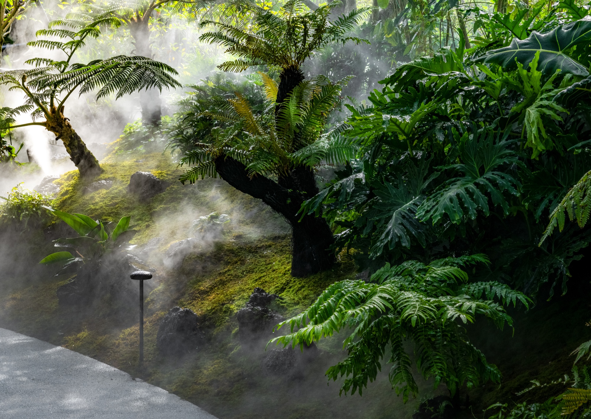 三亚海棠河生态公园（二期）·热带奇趣园丨中国三亚丨LOLA Landscape Architects B.V.-63