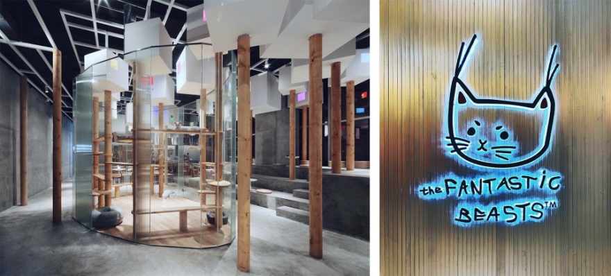 TFB 动物咖啡厅 · 人造森林中的治愈空间-26