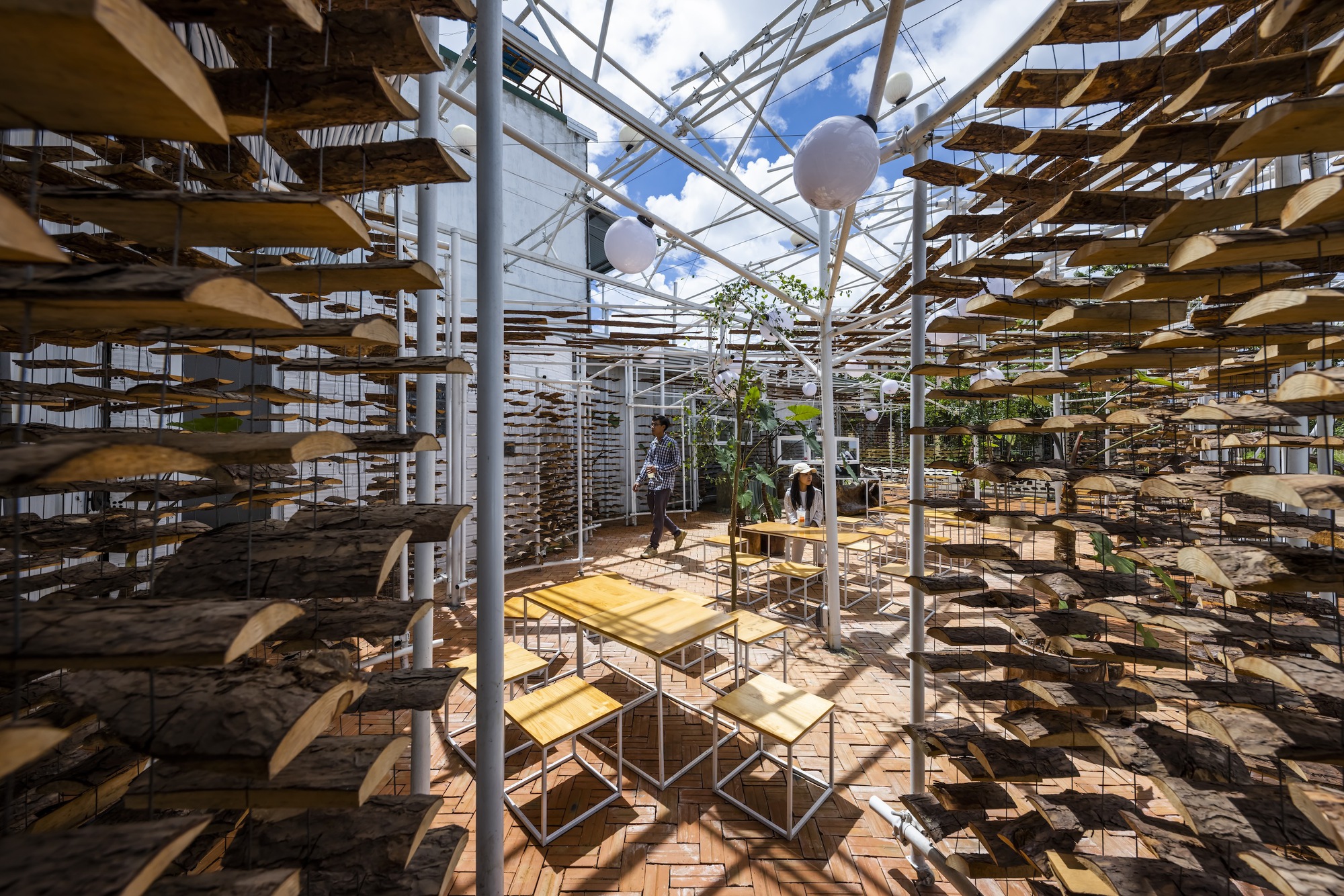 采茶,开花丨越南-39