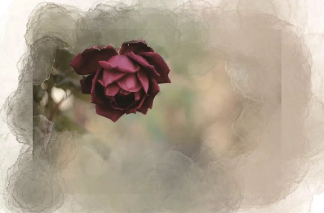 长沙直立灌木办公空间 | 玫瑰之韵的现代演绎-14