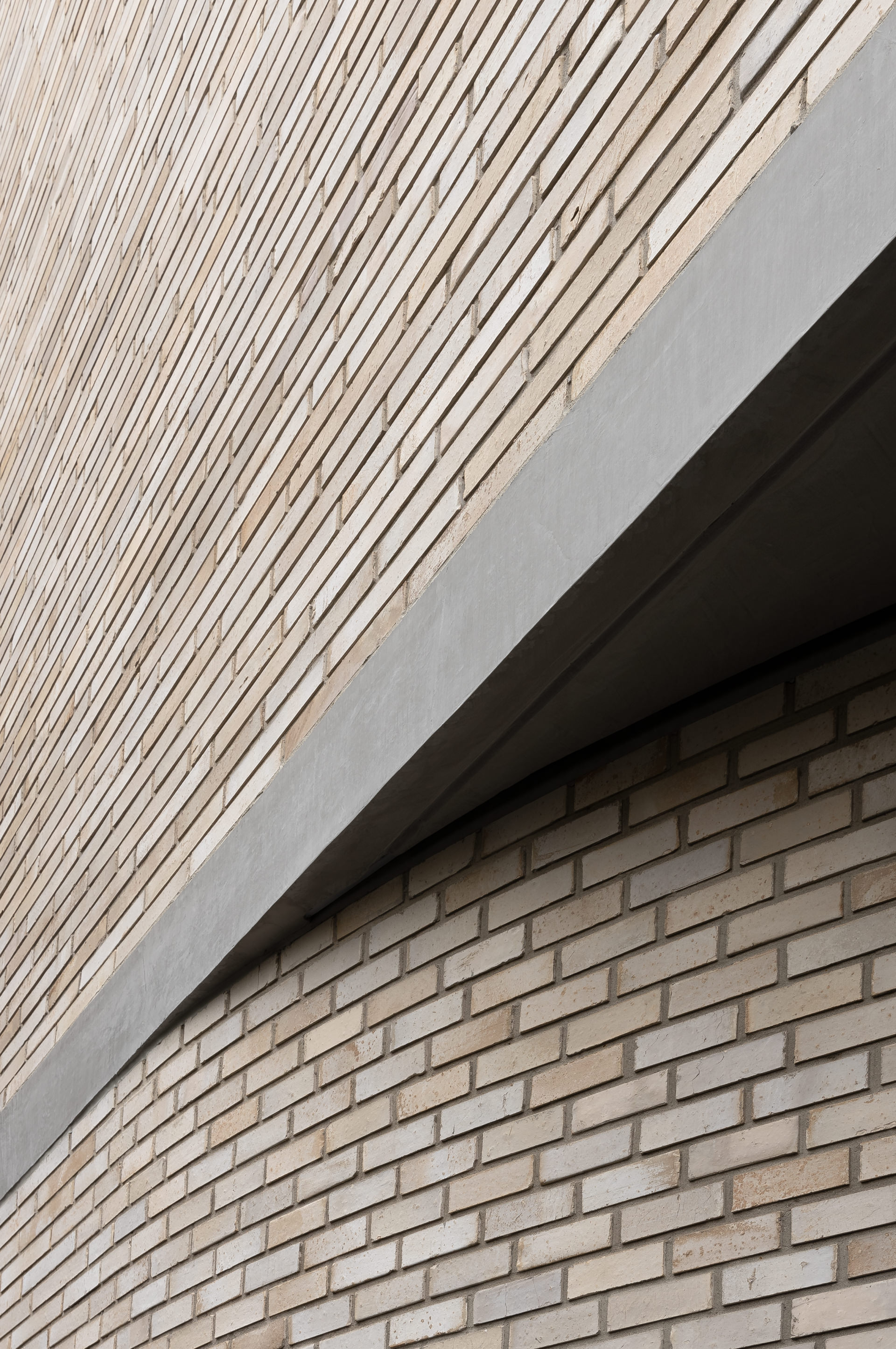 兰塞尔路 65 号住宅丨澳大利亚丨Cera Stribley-4