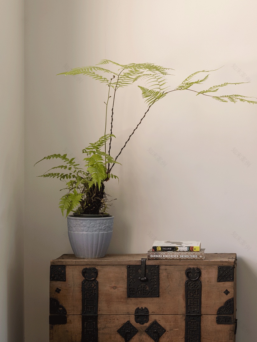 自然私宅丨中国上海丨上海东方美居设计-0