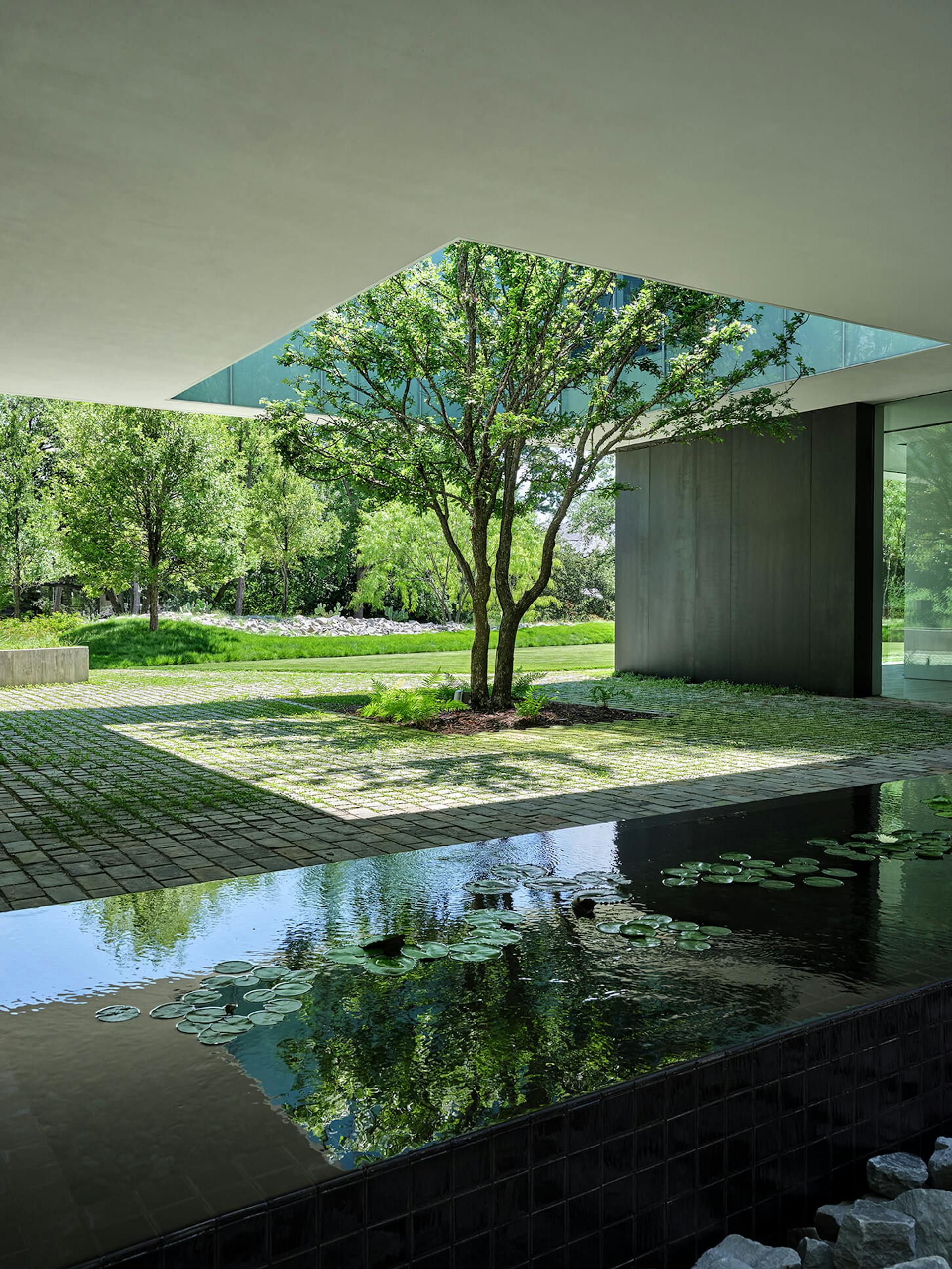 新月丨美国达拉斯丨HOCKER-2