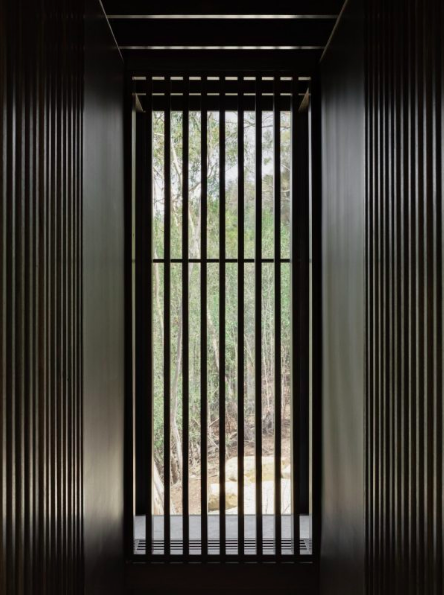 林栖之诗：Archier在塔斯马尼亚的自然共生住宅-13