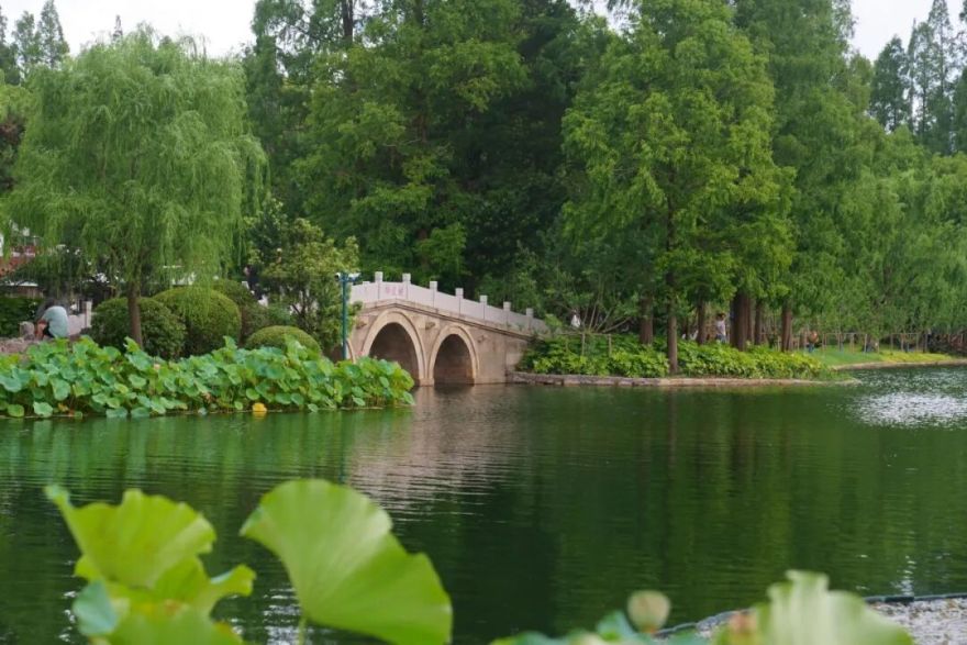 中国园林·理事专栏|“拓”之力量:杨浦公园改造纪实(三)-121