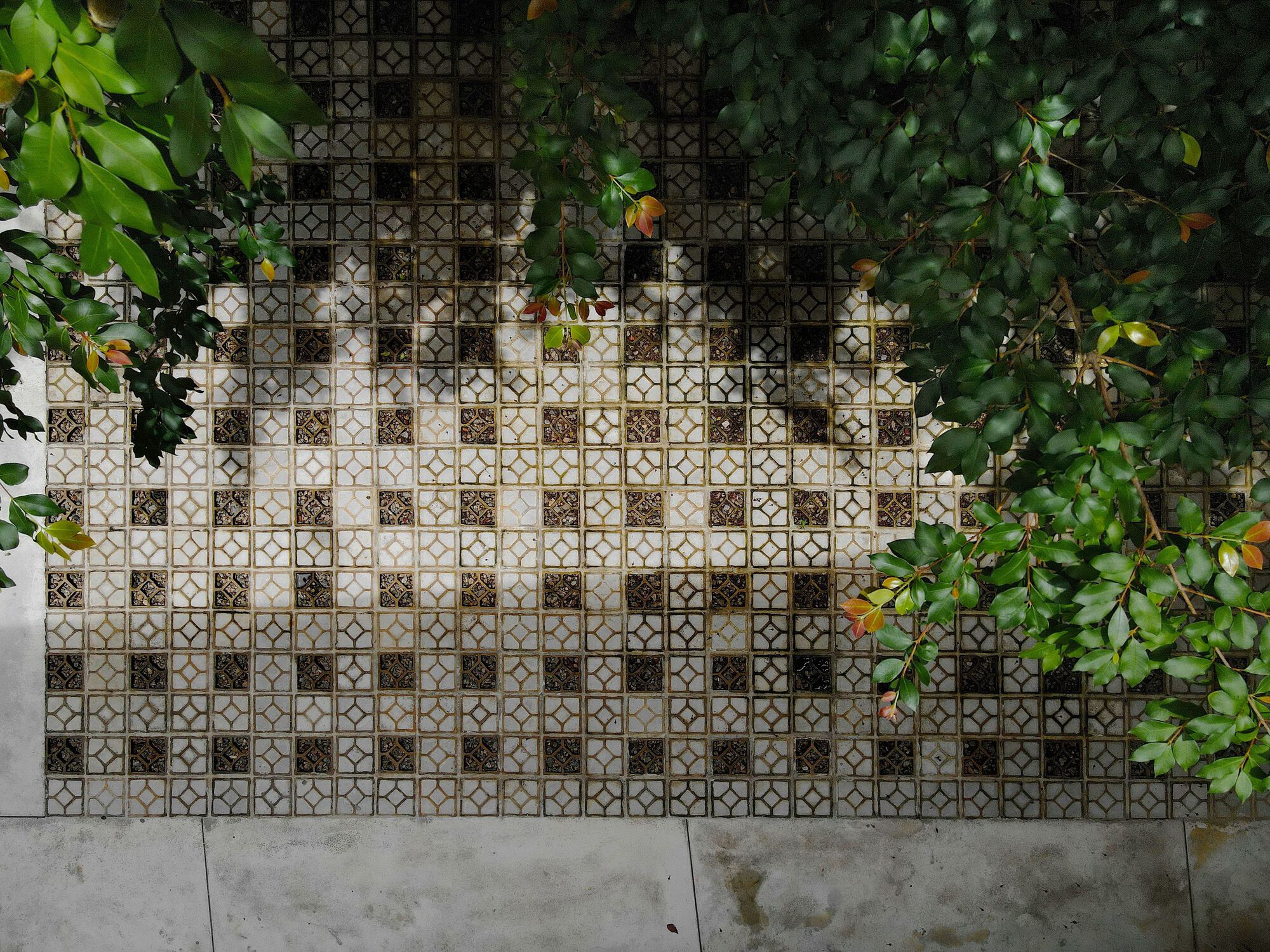 玛塔之家丨巴西-32