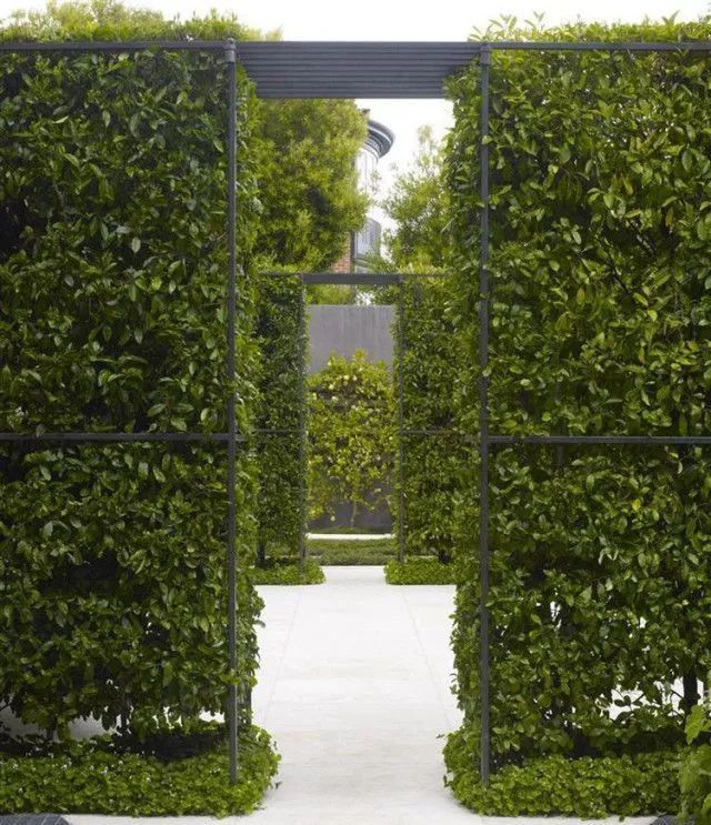 绿篱景观的多功能设计 | 空间、生态与美学的完美结合-24