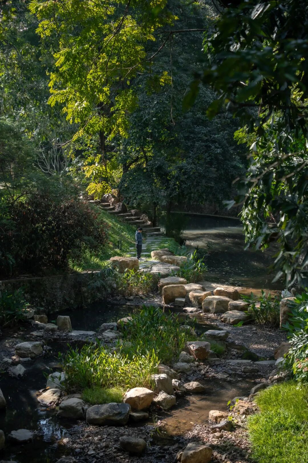 广东温泉宾馆松园一号户外园林景观改造工程丨中国广州-16