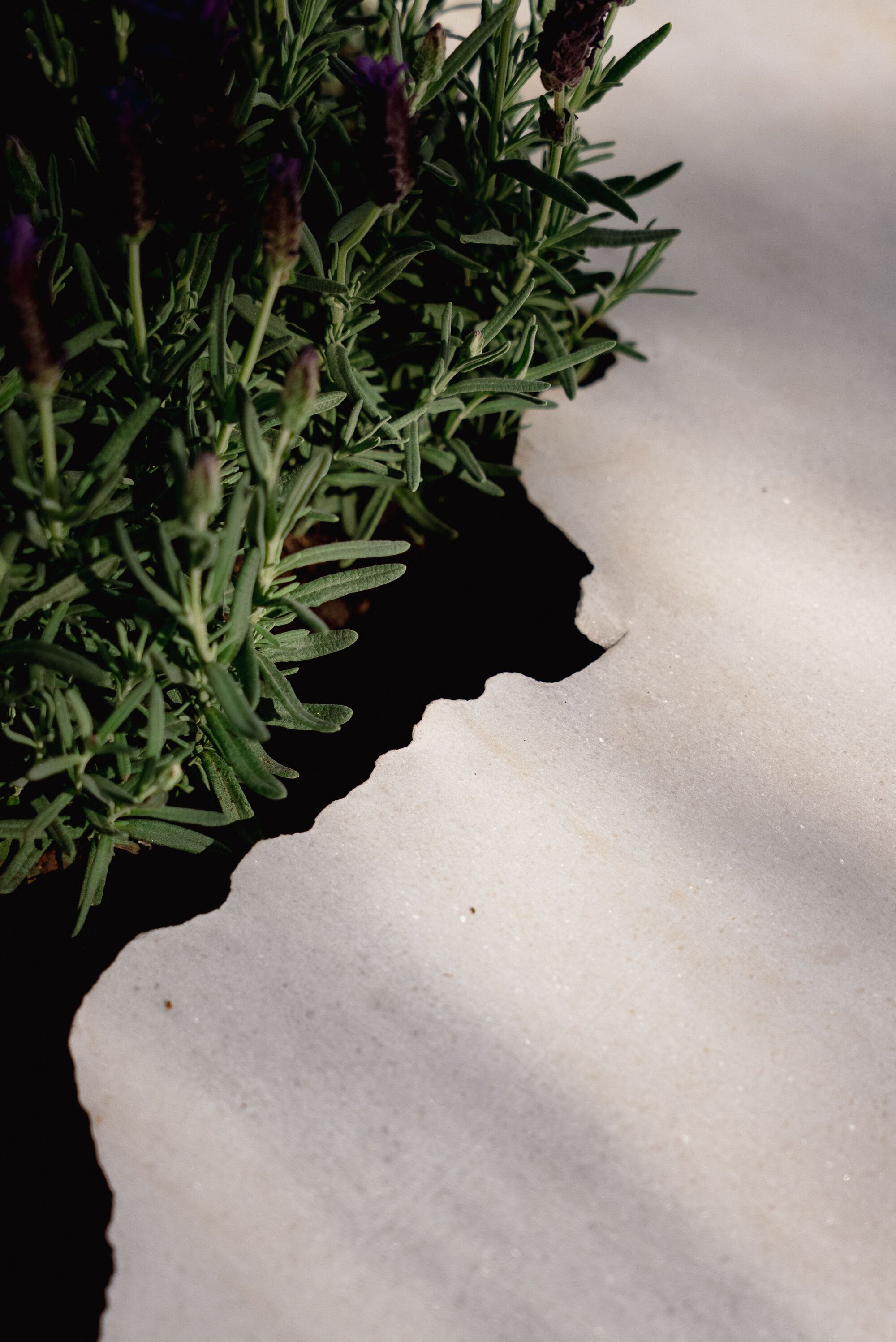 活体多物种厨房丨葡萄牙波尔图丨Fahrenheit Works-34