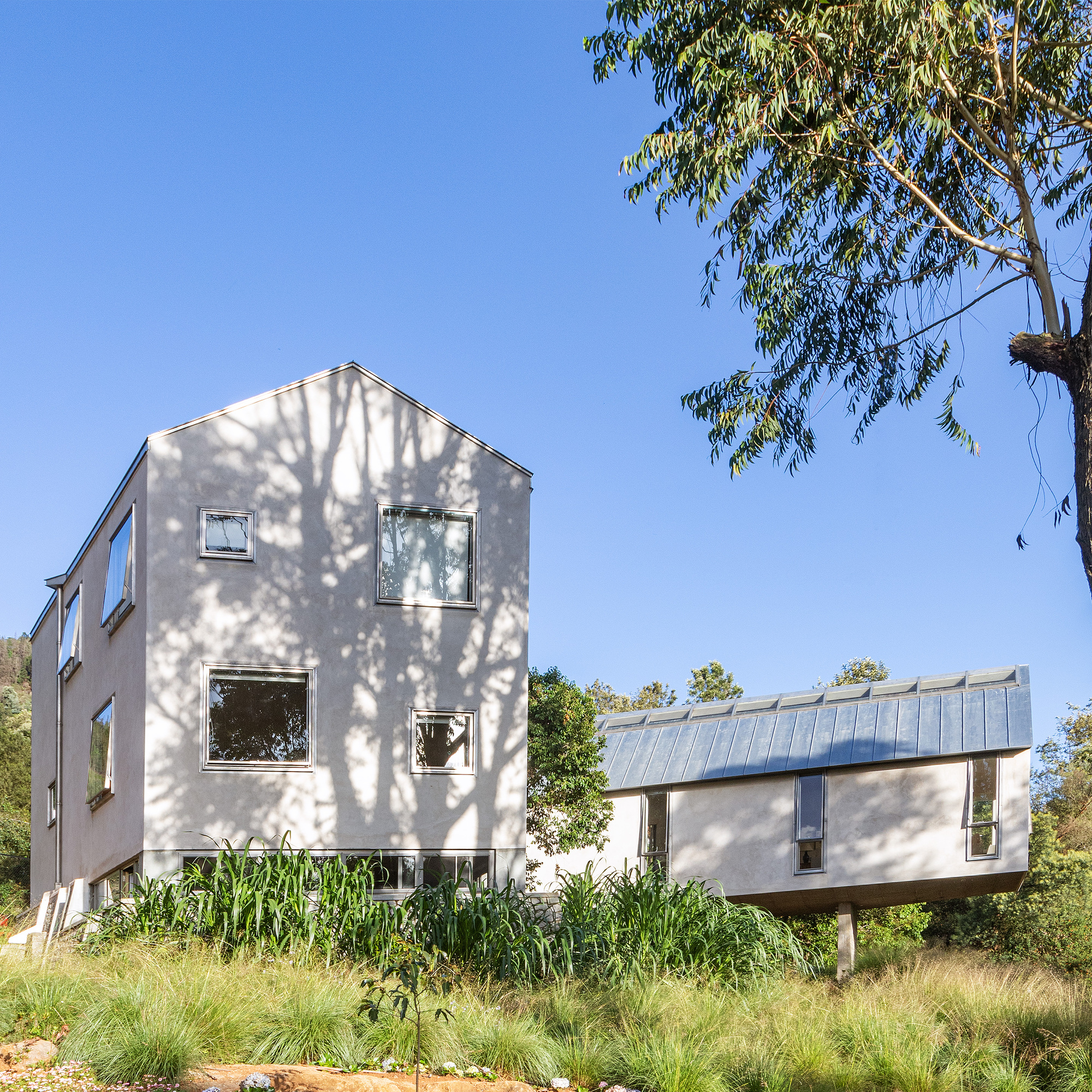 尼尔吉里的野草屋丨印度丨Mathew and Ghosh Architects-17